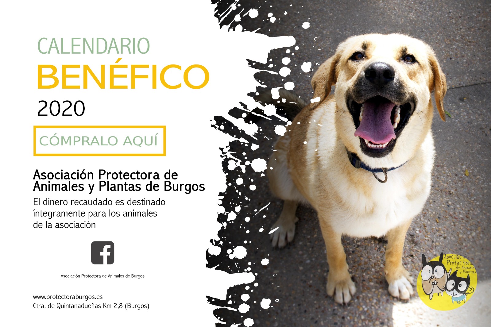 Marketing de motores de búsqueda para aritmética NUESTRO CALENDARIO SOLIDARIO 2020 YA ESTA DISPONIBLE - Protectora de  Animales de Burgos